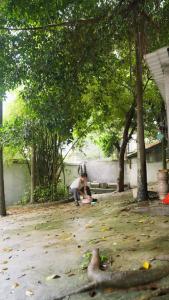 她在寒风中绽放10