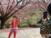 荆州区恒荣梅园：梅花绽开放 喜迎八方客