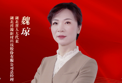 代表委员履职记 | 魏琼：聚焦“返乡人员高质量就业”