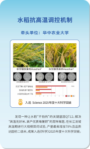 意想不到！这些新板眼都来自湖北！