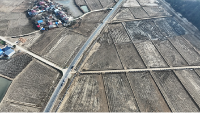 湖北随县：良田焕新颜 沃野生金浪