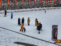 图集 | 荆州迎初雪，古城内外银装素裹