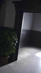 史上最强少帅21