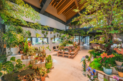 解放公园添绿色惠民新地标！“花屿森活”绿色驿站今天开放