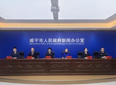 平安法治齐护航 咸宁绘就安居兴业新图景