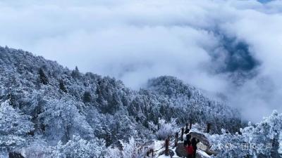 2026年第一场雪，让团风大崎山美成了仙境！