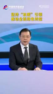 中国经济圆桌会｜坚持“双碳”引领，推动全面绿色转型