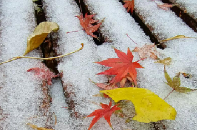 两股冷空气接连来袭 这些地区今天或飘雪