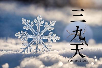 今冬三九开场气温整体偏暖 黄河流域至中下游偏暖明显