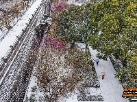 图集 | 荆州迎初雪，古城内外银装素裹