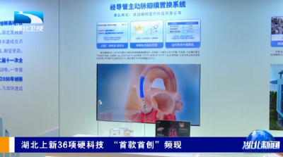 湖北上新36项硬科技 “首款首创”频现