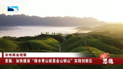 恩施：加快建设“绿水青山就是金山银山”实践创新区