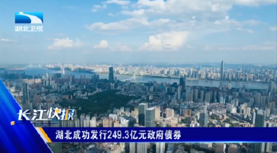 湖北成功发行249.3亿元政府债券