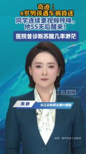 8岁男孩遭遇车祸昏迷，同学连续录视频呼唤，55天后奇迹苏醒