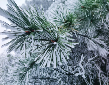 湖北天气将迎大转变！大雪、暴雪、冻雨、9级大风要来了