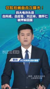 怼脸拍画面首次曝光！四大电诈头目白所成、白应苍、刘正祥、魏怀仁被押解回国