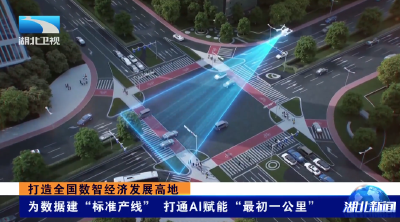 打造全国数智经济发展高地 | 为数据建“标准产线” 打通AI赋能“最初一公里”