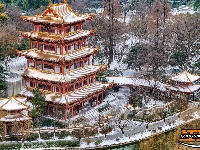 图集 | 沙市中山公园：雪中赏梅正当时！