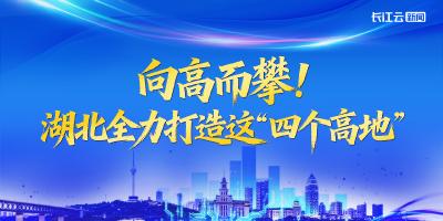 向高而攀！湖北全力打造这“四个高地”