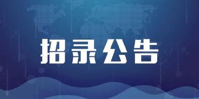 招录497人！2026年湖北省普通选调生招录公告发布