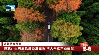 恩施：生态底色成经济亮色 两大千亿产业崛起