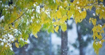 中东部多地将现冷暖大逆转 明起雨雪天气逐渐增多