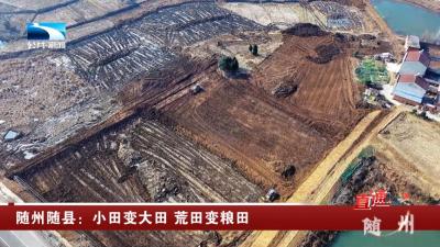 随县：小田变大田 荒田变粮田