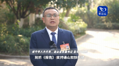 王功辉接受湖北电视台专访：聚焦产业跃升  争当发展“急先锋”