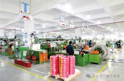 归雁展翅飞高天—— 记湖北永豪科技有限公司董事长吴三刚