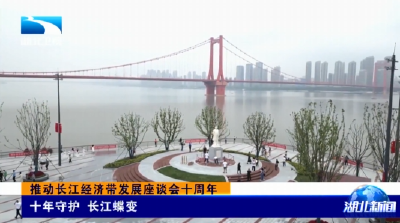 推动长江经济带发展座谈会十周年 | 十年守护 长江蝶变