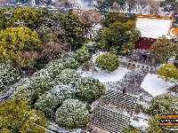 图集 | 沙市中山公园：雪中赏梅正当时！