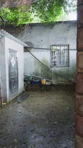 她在寒风中绽放62