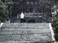 图集 | 踏雪寻梅，沙市中山公园寒梅盛放