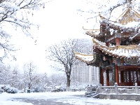 雪落云梦，一城诗意入画来