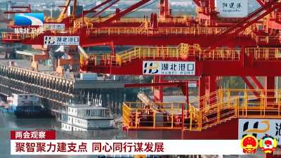 两会观察 | 聚智聚力建支点 同心同行谋发展