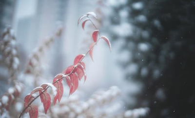 雨雪渐停，2月头暖如初春，湖北最高气温可达18℃