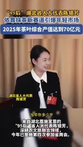 最年轻的湖北省人大代表陈银芳：让茶香飘出武陵山区
