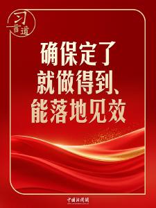 习言道｜开局之年，习近平强调落地见效