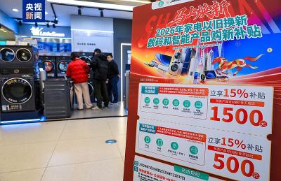 国家发展改革委：多措并举扩大“两新”政策拉动效益