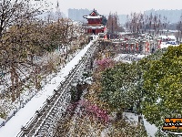 图集 | 荆州迎初雪，古城内外银装素裹