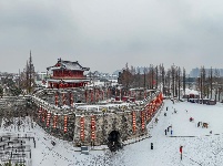 图集 | 荆州迎初雪，古城内外银装素裹