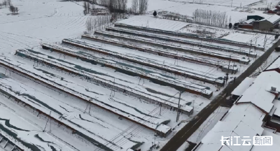 随州随县：农技护航抗寒潮 田间地头保丰收