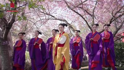 《当战国袍，邂逅楚国战舞，解锁湖北樱花的正确打开方式》