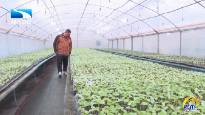 ​【湖北10分】迎战低温冰雪灾害 | 精准施策保丰收