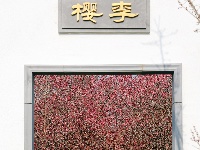 荆州区恒荣梅园：梅花绽开放 喜迎八方客