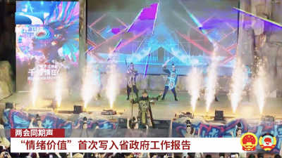 两会同期声｜“情绪价值”首次写入省政府工作报告