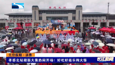 孝感北站迎新大集热闹开场！好吃好逛乐购大悟