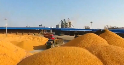 2026年中央一号文件，部署哪些“三农”重点？