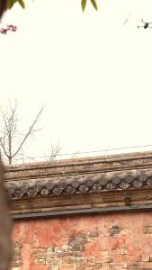 2025年“微短剧 大武当”短视频大赛 | 三等奖《武当奇旅》第十二集