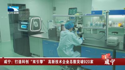 咸宁：打造科创“双引擎” 高新技术企业总数突破920家